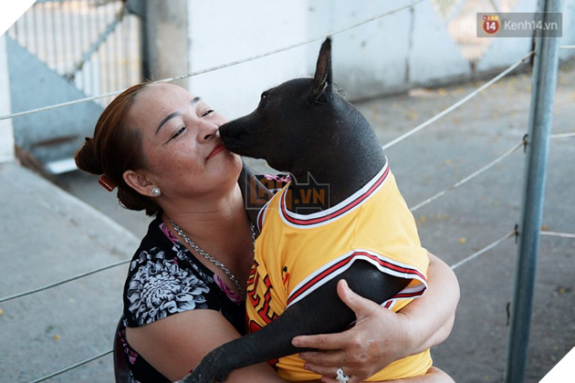 Câu chuyện tình bạn đáng yêu giữa bé chó xấu xí bị bỏ rơi và người mẹ đơn thân ở Sài Gòn