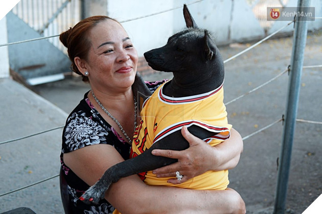 Câu chuyện tình bạn đáng yêu giữa bé chó xấu xí bị bỏ rơi và người mẹ đơn thân ở Sài Gòn 17