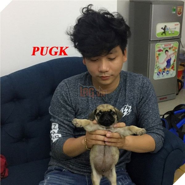 Khoa Pug là ai mà vừa đăng bài bóc phốt đã khiến khách sạn 5 sao phải nhận hơn 3.000 đánh giá tiêu cực kèm vote 1 sao