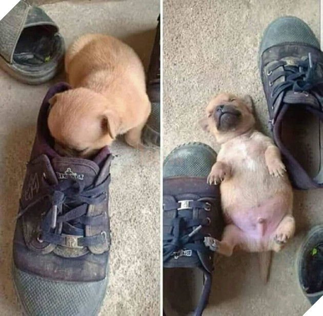  
Cái giá phải trả cho tuổi trẻ đầy bồng bột.