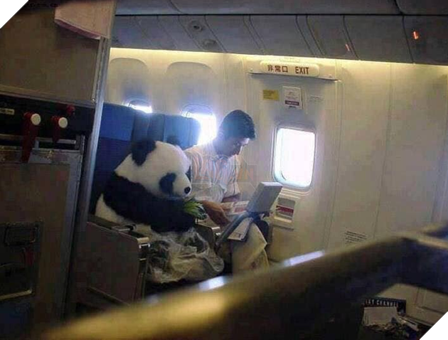  
Được ngồi ăn tự do thoài mái trên máy bay thế này chỉ có thể là "quốc bảo".