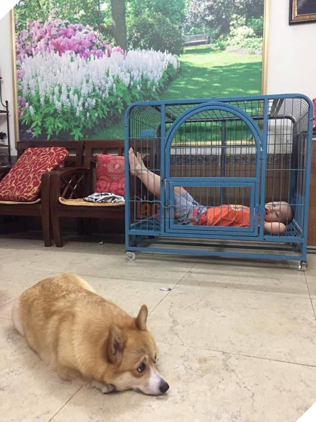  
Vẻ mặt đầy cam chịu của đứa đi ăn cỗ về mất chỗ.