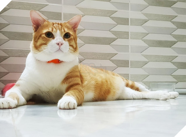 Đang tải Map_tinhte.jpg…