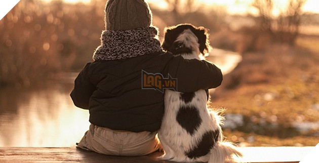 18 điều thú vị và kỳ lạ về loài chó mà bạn có thể chưa từng biết đến 18