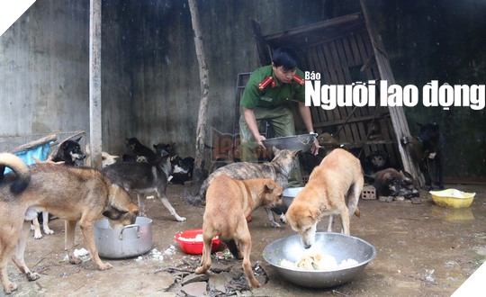 “Ấm lòng” sau khi được giải cứu hai chú chó được sinh ra trong trụ sở công an 2