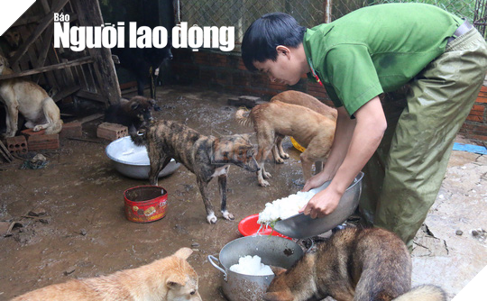 “Ấm lòng” sau khi được giải cứu hai chú chó được sinh ra trong trụ sở công an 3