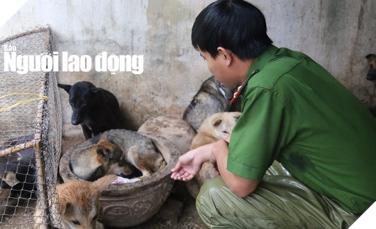 “Ấm lòng” sau khi được giải cứu hai chú chó được sinh ra trong trụ sở công an 4