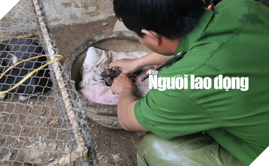 “Ấm lòng” sau khi được giải cứu hai chú chó được sinh ra trong trụ sở công an 5