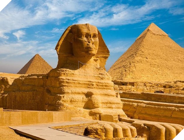 Gặp gỡ boss Shiba b&#225;n hoa nổi tiếng ở Nhật Bản, được phong l&#224; &quot;b&#224; chủ nh&#224;n rỗi&quot; của c&#225;c nh&#226;n vi&#234;n tr&#234;n n&#244;ng trại - Ảnh 7.