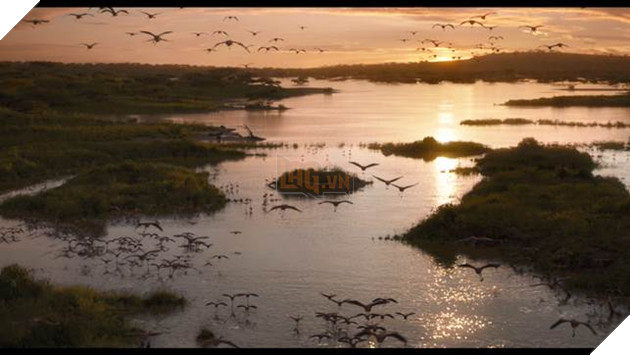  Lion King: Disney tung tạo hình live-action của bộ đôi hài hước Timon và Pumbaa trong trailer mới 4