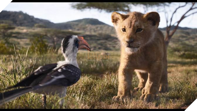  Lion King: Disney tung tạo hình live-action của bộ đôi hài hước Timon và Pumbaa trong trailer mới 7
