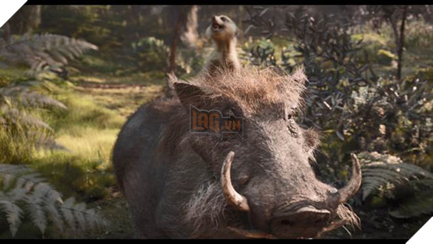  Lion King: Disney tung tạo hình live-action của bộ đôi hài hước Timon và Pumbaa trong trailer mới 8