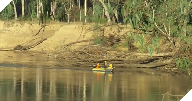 Cậu bé bị mẹ ruột dìm xuống sông chú chó dũng cảm lao xuống giải cứu