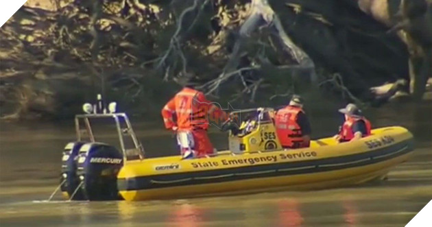 Cậu bé bị mẹ ruột dìm xuống sông chú chó dũng cảm lao xuống giải cứu 3