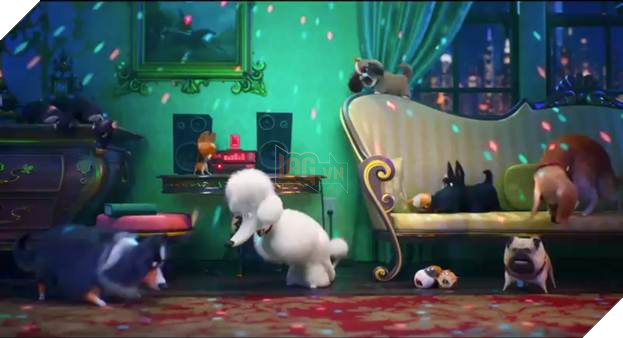  Đẳng cấp thú cưng 2 tung trailer, hé lộ kế hoạch bảo vệ cậu chủ cực ngầu