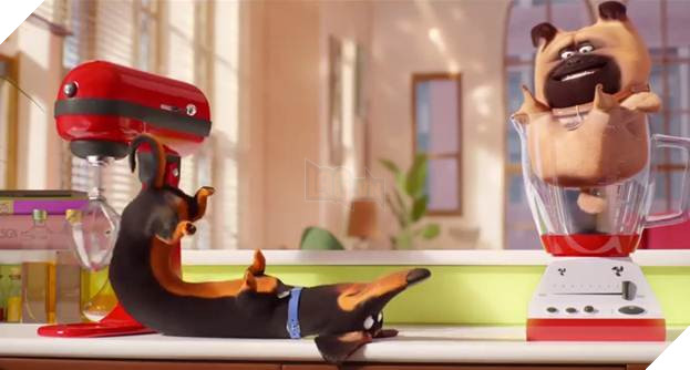  Đẳng cấp thú cưng 2 tung trailer, hé lộ kế hoạch bảo vệ cậu chủ cực ngầu 3