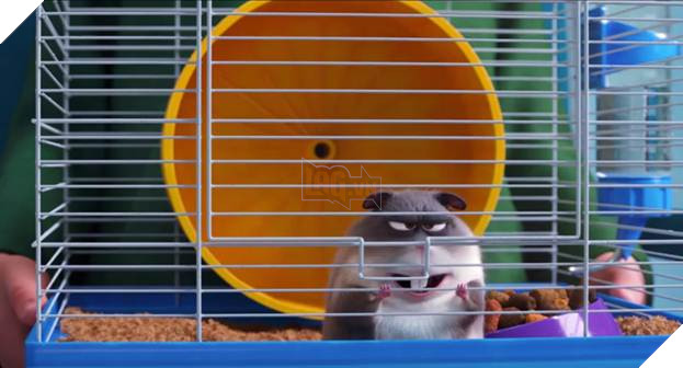  Đẳng cấp thú cưng 2 tung trailer, hé lộ kế hoạch bảo vệ cậu chủ cực ngầu 5