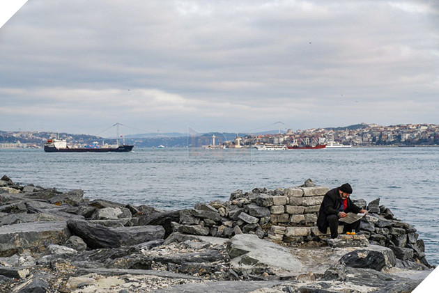 H&#236;nh ảnh đ&#244;i m&#232;o &#226;u yếm đầy t&#236;nh cảm tr&#234;n bến cảng khiến hội FA suy sụp: &#39;Đến lũ m&#232;o cũng c&#242;n c&#243; nhau&#39; - Ảnh 7.
