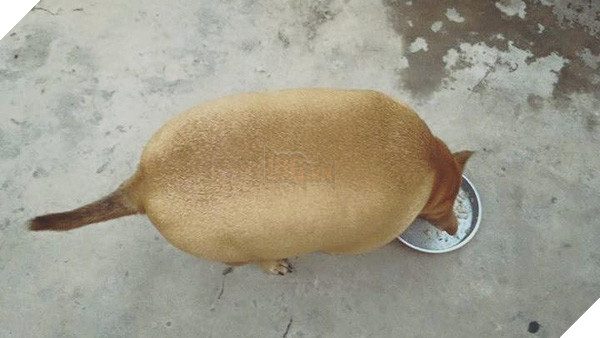 11907185_1164787206869548_1911491873007171663_n-200e9