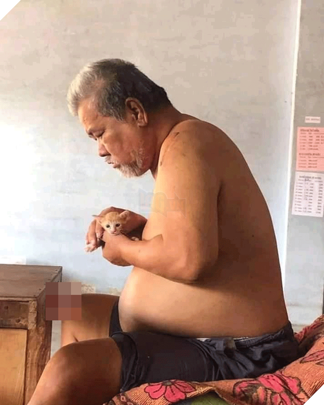  
Ông nội đã già và chú mèo còn nhỏ