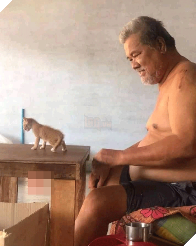  
Từ ánh mắt cho đến nụ cười, nửa phần quan tâm ấy cũng không dành cho con sen