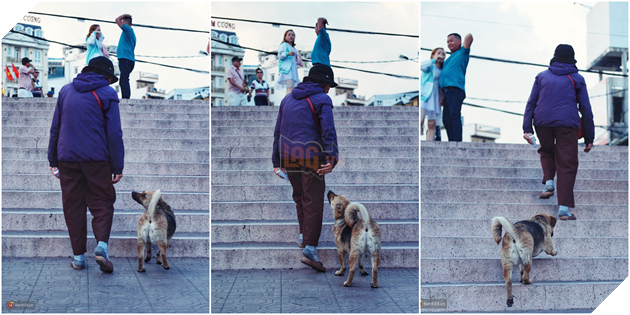 Câu chuyện đáng yêu của người phụ nữ bán vé số và chú chó lang thang ở Đà Lạt - Ảnh 8.