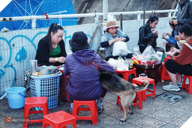Câu chuyện đáng yêu của người phụ nữ bán vé số và chú chó lang thang ở Đà Lạt - Ảnh 2.