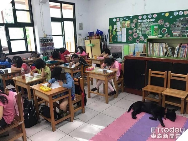 Nghiêng ngả với sự lầy lội của chú chó vào lớp học ăn ngủ nghỉ và…làm giám thị 2