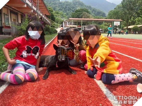 Nghiêng ngả với sự lầy lội của chú chó vào lớp học ăn ngủ nghỉ và…làm giám thị 6