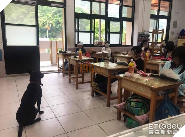 Nghiêng ngả với sự lầy lội của chú chó vào lớp học ăn ngủ nghỉ và…làm giám thị 8