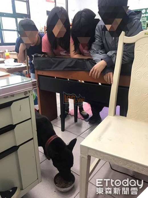 Nghiêng ngả với sự lầy lội của chú chó vào lớp học ăn ngủ nghỉ và…làm giám thị 9