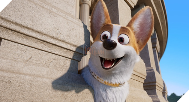 Điểm mặt dàn boss cưng trong Corgi: Những chú chó hoàng gia  2