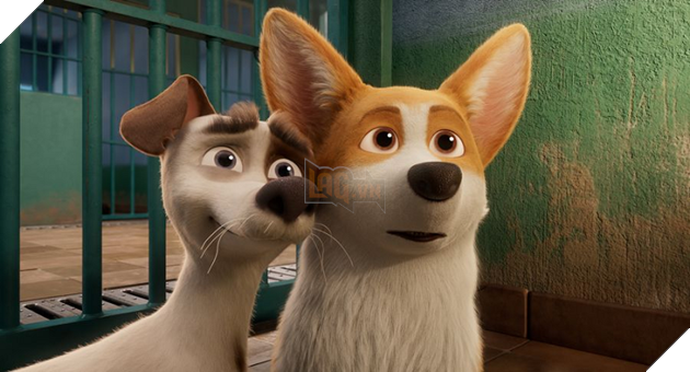 Điểm mặt dàn boss cưng trong Corgi: Những chú chó hoàng gia  3