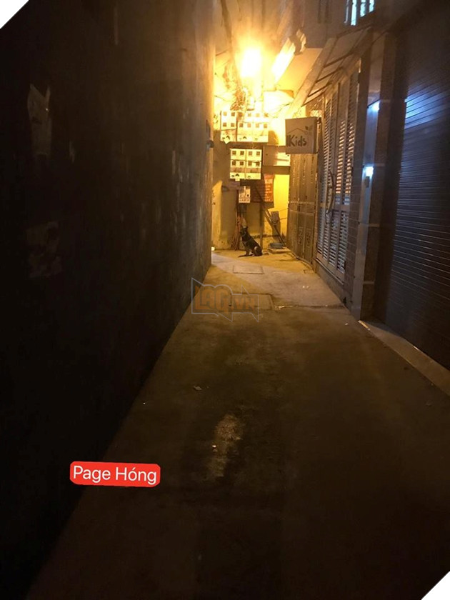  
Chú chó làm việc rất "có tâm", luôn canh chàng trai trở về để nhận... hối lộ.