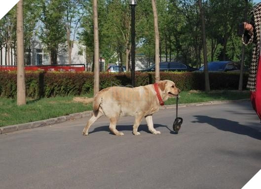 
Bài viết thu hút sự quan tâm từ cư dân mạng - Ảnh: Internet