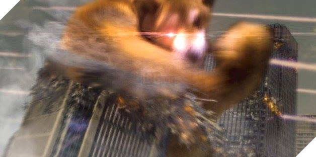 Khoảnh khắc chú chó Shiba quay đầu tung nắm đấm không trượt phát nào như Saitama bất ngờ gây sốt trên MXH - Ảnh 7.