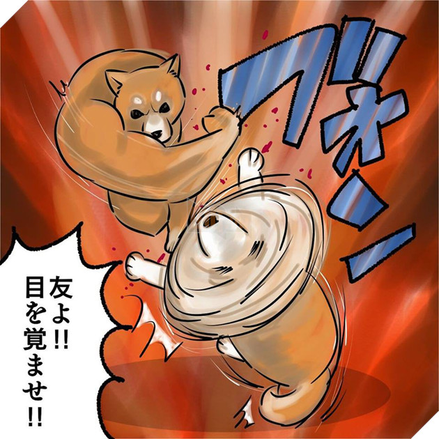 Khoảnh khắc chú chó Shiba quay đầu tung nắm đấm không trượt phát nào như Saitama bất ngờ gây sốt trên MXH - Ảnh 3.