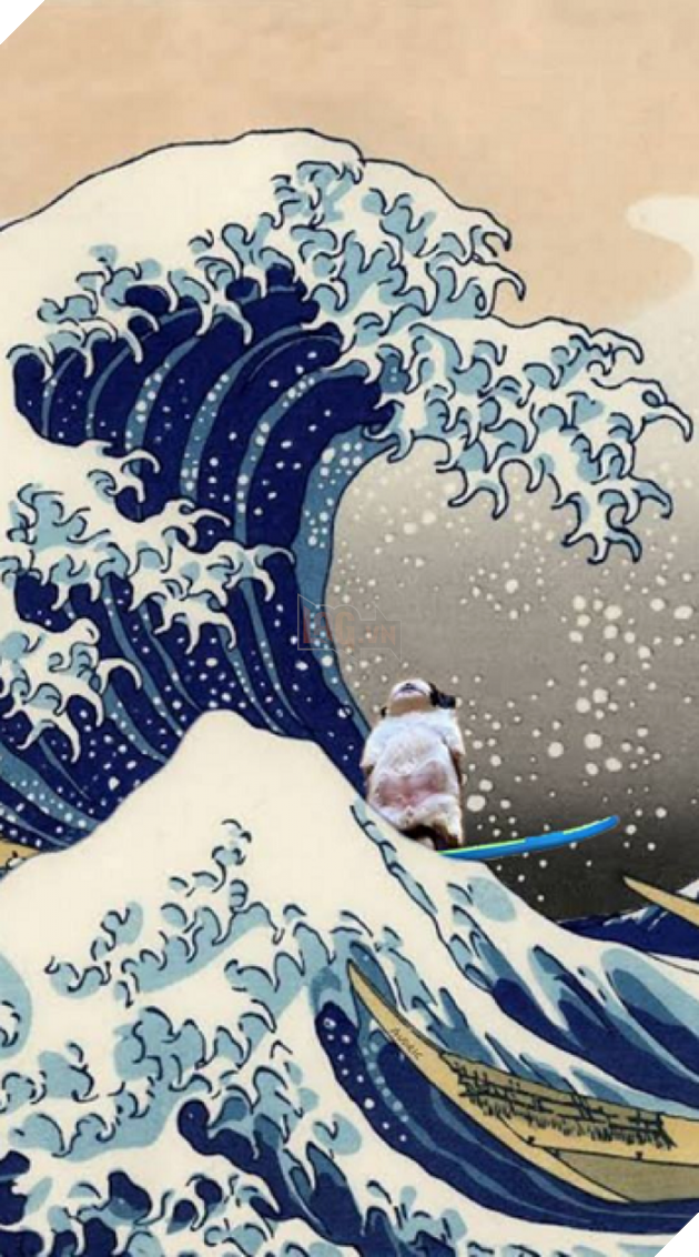 Em cún bất ngờ nổi tiếng vì dáng ngủ quái lạ, trở thành nguồn cảm hứng chế ảnh bất tận trên MXH - Ảnh 7.