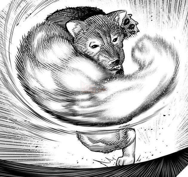 Khoảnh khắc chú chó Shiba quay đầu tung nắm đấm không trượt phát nào như Saitama bất ngờ gây sốt trên MXH - Ảnh 9.