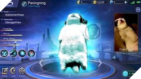 Em cún bất ngờ nổi tiếng vì dáng ngủ quái lạ, trở thành nguồn cảm hứng chế ảnh bất tận trên MXH - Ảnh 6.