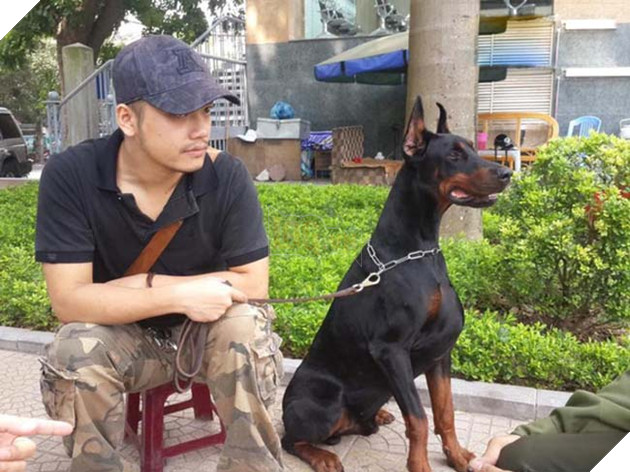 chÃ³ bá» sá»c nhiá»t