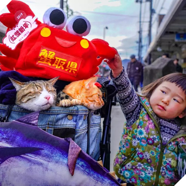 Dân mạng phát hờn với 2 boss mèo được vác đi khắp Nhật Bản: Cảnh đẹp như mơ mà chỉ lo ngáp với ngủ - Ảnh 3.