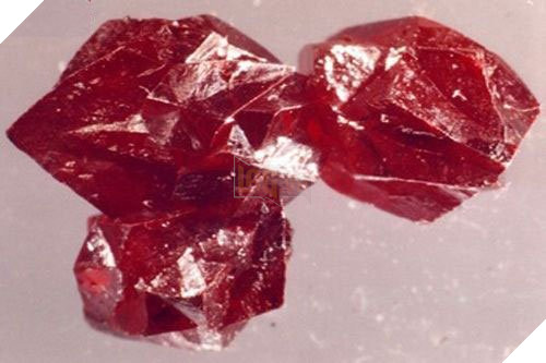 Liệu các loại độc dược trong phim cổ trang Trung Quốc có thật hay không ?  3