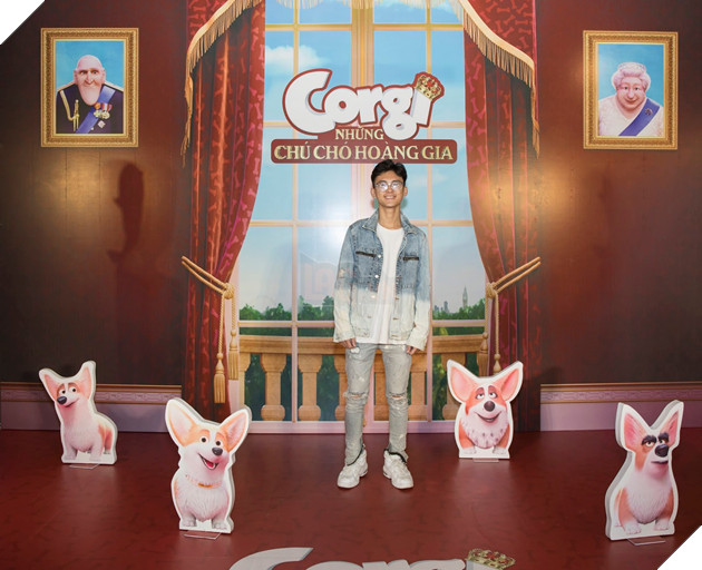 Gia đình sao Việt hào hứng với Corgi: Những chú chó hoàng gia 6