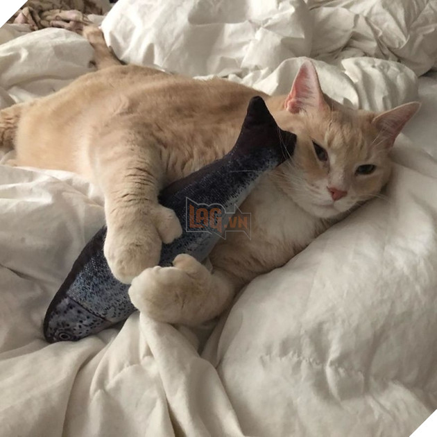 Vẻ đẹp ‘nghiêng nước nghiêng thành’ của vị ‘quàng thượng’ mũm mĩm ‘đốn tim’ CĐM 9