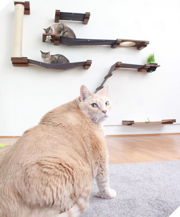 Vẻ đẹp ‘nghiêng nước nghiêng thành’ của vị ‘quàng thượng’ mũm mĩm ‘đốn tim’ CĐM 10