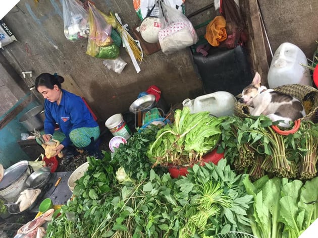 Boss chó lăn quay ra ngủ ngon lành giữa chợ: Cuối tuần nắng nóng thì chỉ ngủ thôi chứ buôn bán gì tầm này! - Ảnh 1.