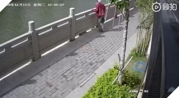 ‘Ngứa chân’ đá chú mèo đang sưởi nắng xuống sông, gã đàn ông bị cư dân mạng lên án kịch liệt