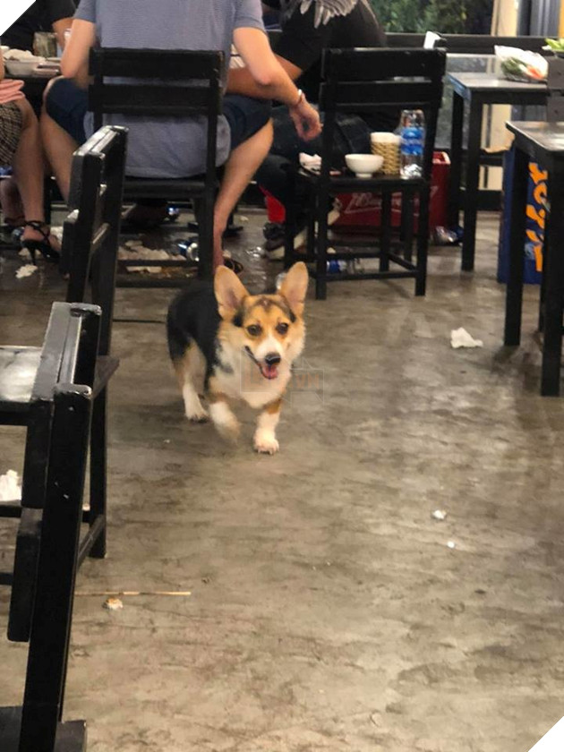  
Bắt đầu tác nghiệp nào...