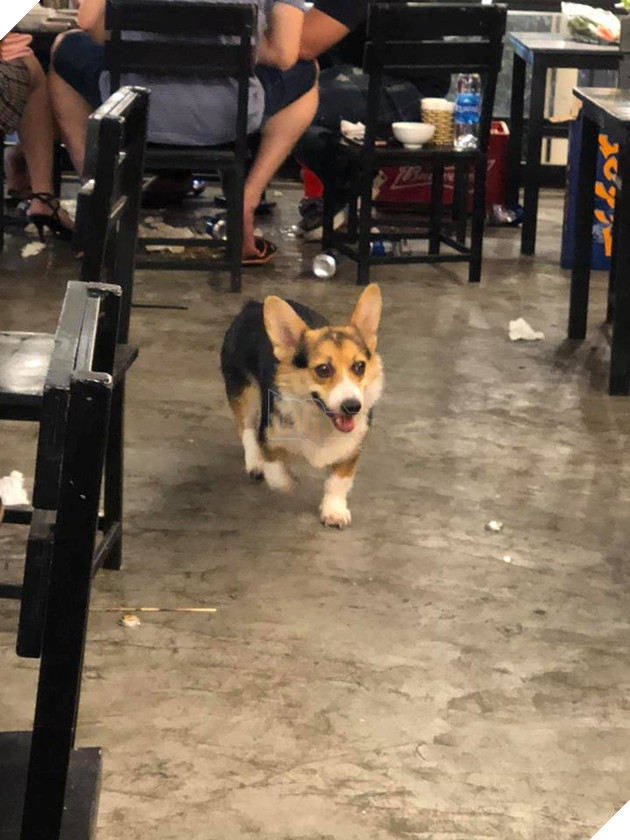  
Vẻ mặt hớn hở của chú cho khi bắt đầu tiếp cận "mục tiêu".